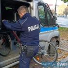 Fotka nr 2 z 4