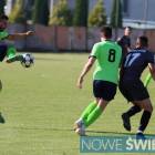 Fotka nr 5 z 17