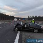 Fotka nr 2 z 3