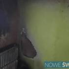 zdjęcie nr 10