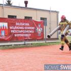 zdjęcie nr 12