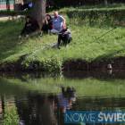 zdjęcie nr 13