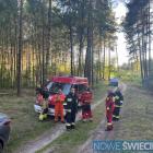 Fotka nr 1 z 2
