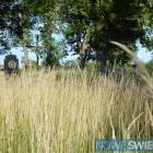 Fotka nr 2 z 15