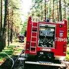 Fotka nr 1 z 22
