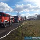 Fotka nr 4 z 5