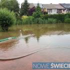 zdjęcie nr 42
