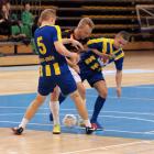 Fotka nr 2 z 17