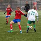 Fotka nr 5 z 22