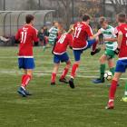zdjęcie nr 13