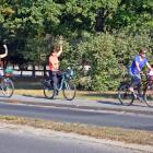 zdjęcie nr 16