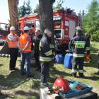 Fotka nr 1 z 13