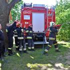 Fotka nr 5 z 13