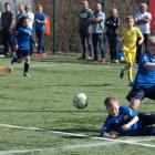 zdjęcie nr 11