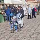 zdjęcie nr 22