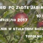 Fotka nr 0 z 2