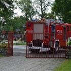 Fotka nr 4 z 55