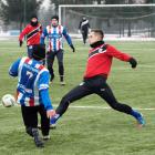 Fotka nr 2 z 16