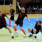 Fotka nr 1 z 19