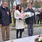 zdjęcie nr 7