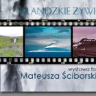 Fotka nr 4 z 5