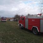 Fotka nr 4 z 10