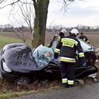 Fotka nr 2 z 4