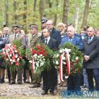 zdjęcie nr 37