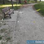Fotka nr 4 z 6