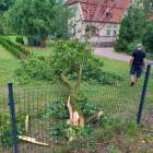 zdjęcie nr 7