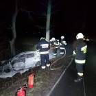 Fotka nr 2 z 4