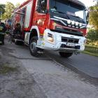 Fotka nr 1 z 12