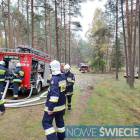 zdjęcie nr 10