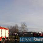 Fotka nr 4 z 11