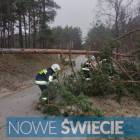 Fotka nr 1 z 4