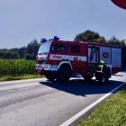 Fotka nr 2 z 4