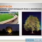 zdjęcie nr 25