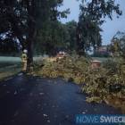 zdjęcie nr 11