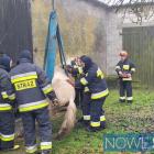 Fotka nr 2 z 13