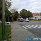 Fotka nr 2 z 3