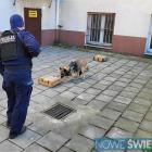zdjęcie nr 19