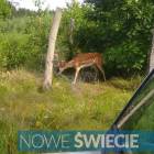 Fotka nr 0 z 5
