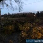 zdjęcie nr 24