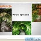 zdjęcie nr 28