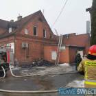Fotka nr 5 z 13