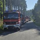 Fotka nr 4 z 15