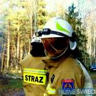Fotka nr 4 z 30