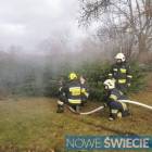 zdjęcie nr 35