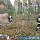 Fotka nr 5 z 21