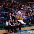 zdjęcie nr 10